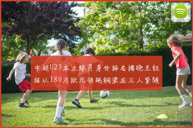 中超U23本土球员身价排名揭晓王钰栋以180万欧元领跑铜梁龙三人紧随其后